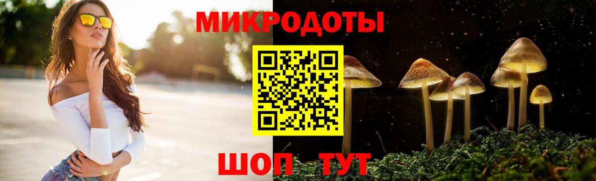 Галлюциногенные грибы Psilocybine cubensis  Вход с VPN  Ишим 